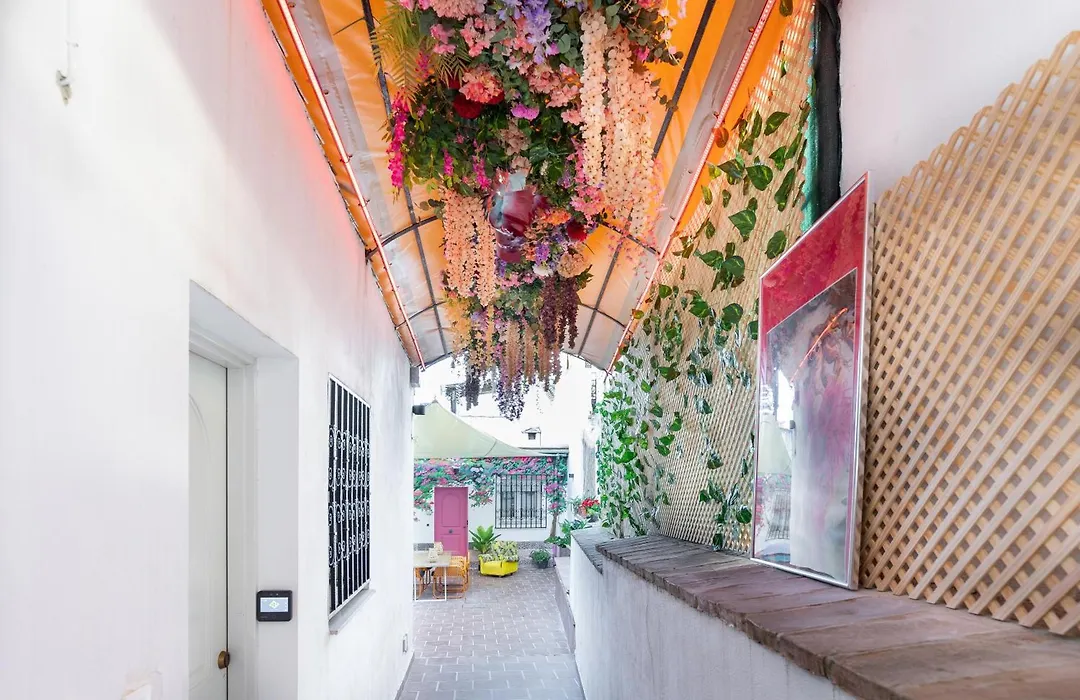 Apartamentos - Pinksparrow --1